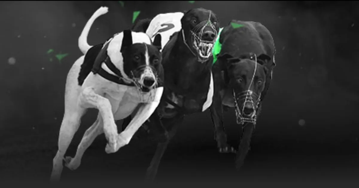 杰伦,布朗直面挑,凯尔特人球,MK体育,MK体育官方,MK体育官网,MK体育入口,MK体育登录