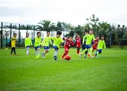 国安期待斯,帕吉奇首战,亮相,MK体育,MK体育官方,MK体育官网,MK体育入口,MK体育登录