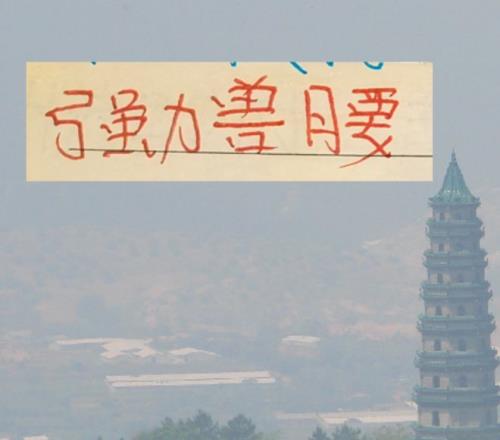 法兰克福连,败挑战多特,不败金身,MK体育,MK体育官方,MK体育官网,MK体育入口,MK体育登录