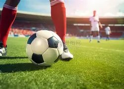 巴西柔術,歲宗師,動靜交融,MK体育,MK体育官方,MK体育官网,MK体育入口,MK体育登录